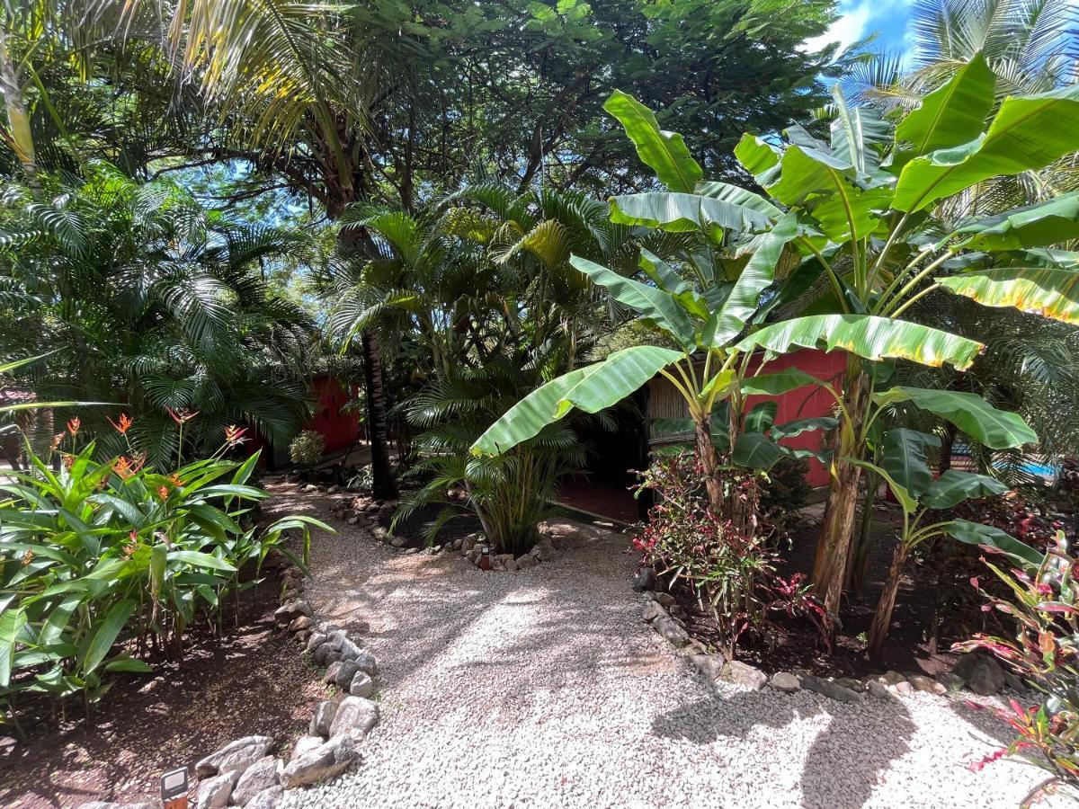 Bed and Breakfast Casa Tropical Playa Grande Cuajiniquil Екстер'єр фото